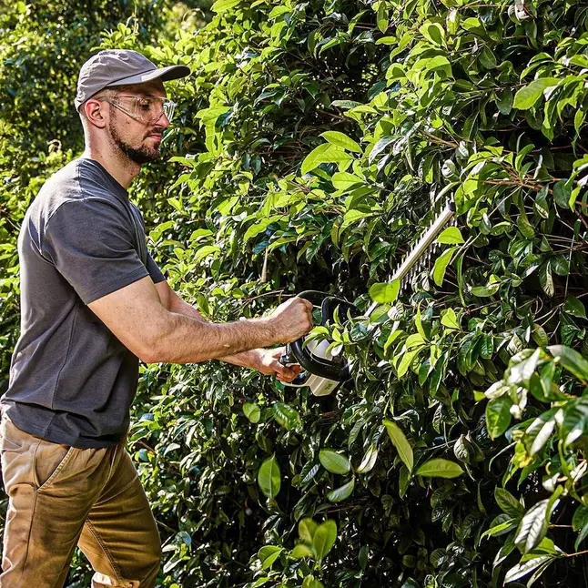 Акумуляторний кущоріз Litheli, живлення від павербанку (УМБ Litheli Power Bank 20000 mAh, 45 W, 2А в комплекті) — Photo 1