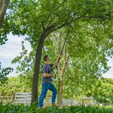 Висоторіз-кущоріз Litheli телескопічний, 340 мм, живлення від павербанку (УМБ Litheli Power Bank 20000 mAh, 45 W, 2,5 А в комплекті) — Photo 6